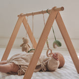 rainbow bear - baby play gym