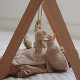 rainbow bear - baby play gym