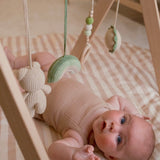 rainbow bear - baby play gym