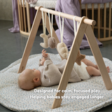 choco the bear - baby play gym